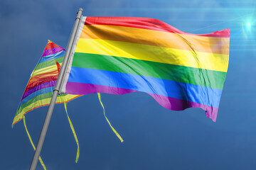 lgbt flag LGBT+ History Month 2024