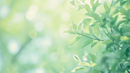 Green leaves of bushes and trees in the sunlight close-up