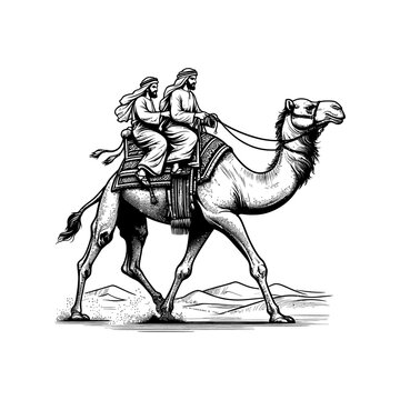 riding on the camel man vector illustration