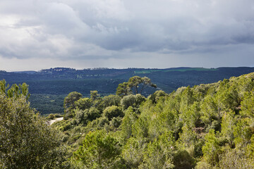 Fototapeta na wymiar Scenic view from mount carmel in haifa with coniferous and deciduous trees and storm clouds