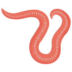 Worm flat icon design 