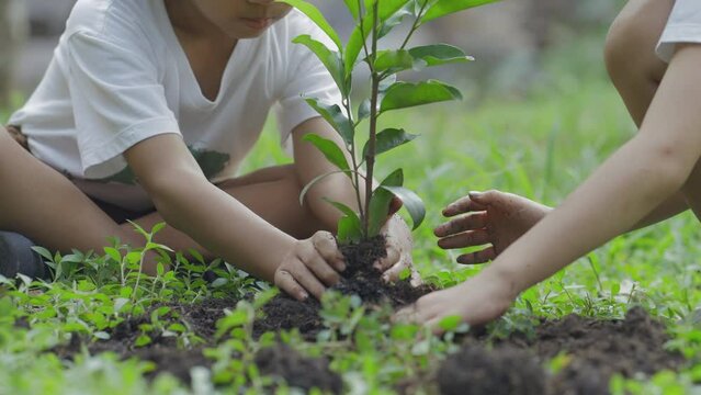 Children planting tree outdoors in volunteer activity aimed at instilling a sense of reverence for the natural world and the environment