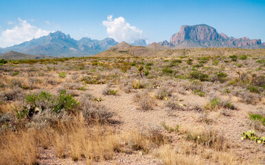 Big Bend National Park, in southwest Texas