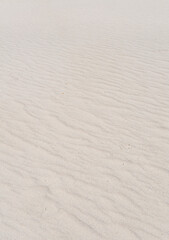 Big Bend National Park, in southwest Texas