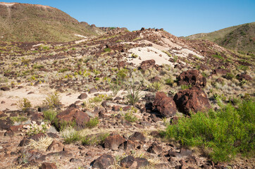 Fototapeta premium Big Bend National Park, in southwest Texas