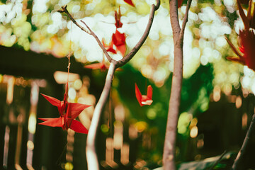 The paper crane is one of Japan's traditional cultural Origami, but today it is considered a symbol...