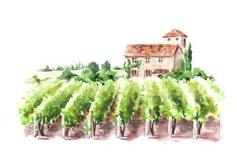 Landscape with vineyard  and Tuscan Chateau. Hand drawn  watercolor illustration  isolated on white background - obrazy, fototapety, plakaty