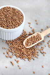 Whole coriander seeds with a bowl and wooden scoop, on mottled grey with copy space
