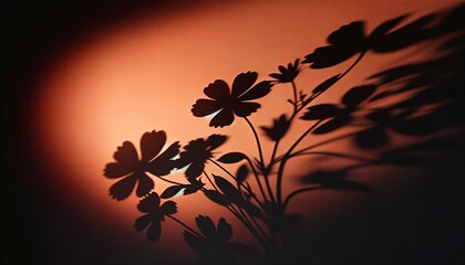 Naklejka na ściany i meble A Dreamlike Vision of a Daisy Against a Sunset, Its Shadow Dancing on a Warmly Lit Canvas