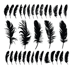 The big set of bird feather silhouettes. 
