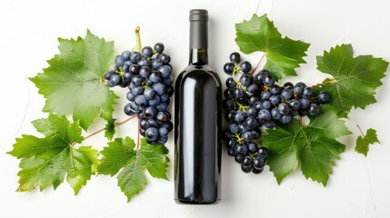 Red wine bottle and grapes. Isolated on white background