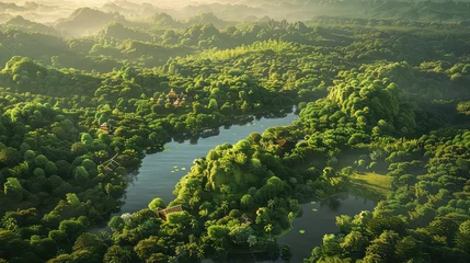 Tuinposter Green forest areal view from top, helicopter view, greenery and forest beautiful scenery. © Muhammad_Waqar