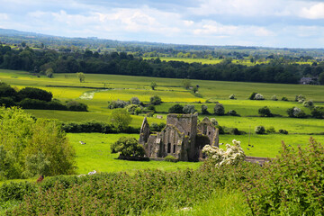 Hore Abbey is a ruined Cistercian monastery near the Rock of Cashel, County Tipperary, Republic of...