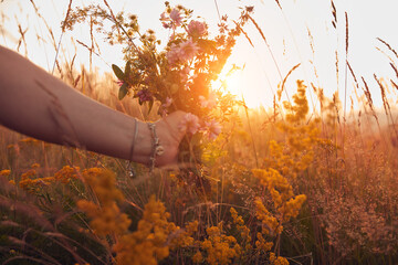Woman picking and holding field flowers in nature.