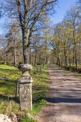 Fototapeta premium Gatepost by a dirt road in a tree grove in springtime