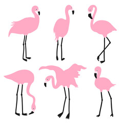 Set of pink flamingos. Exotic birds in different poses. Isolated on a white background. - 741286550