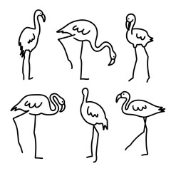 Set of abstract flamingos. Line drawing minimalist design. Hand drawn art.