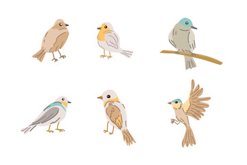 set of spring birds - cute animals standing, flying and sitting on wood Vector illustration isolated. Can used for wallpaper, poster, print design for cloth. 