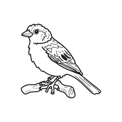 Premium vintage sparrow vector design stock illustration