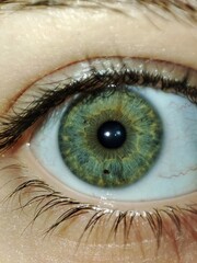 Green eye