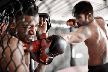 Punch, pain and men in cage for kickboxing competition, challenge and fitness with fight sports in...