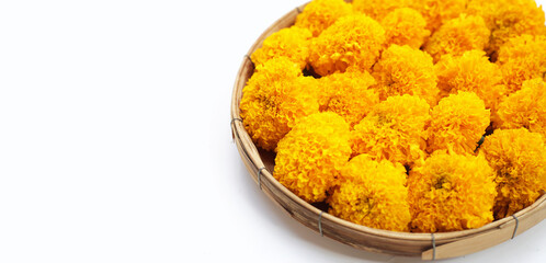 Beautiful golden yellow marigold flowers