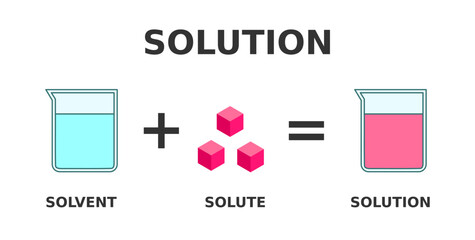 Solution formation. A solution is a homogeneous mixture of solute dissolved in a solvent. Solubility example. Lab beakers explain creation of solution. Chemistry education. Vector illustration.