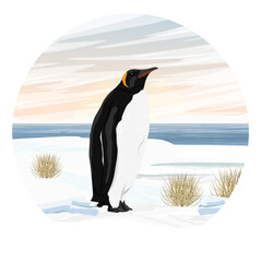 Round composition. Emperor penguin stands on the ocean shore with snow and dry grass. Birds of the South Poles. Realistic vector landscape