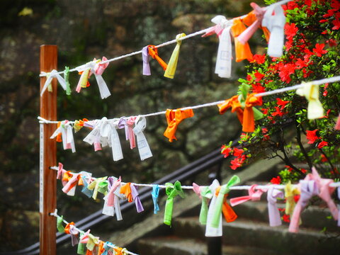 神社のおみぐし結び