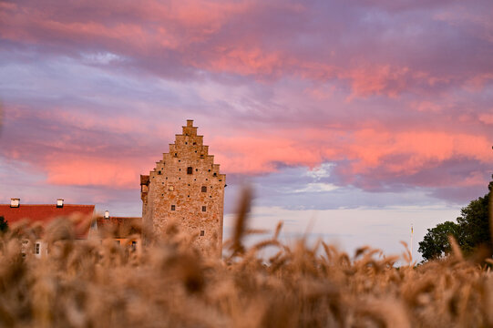 Glimmingehus Sweden, well-preserved medieval castle of Scandinavia with cornfield in the foreground and sunset with sky blushing on the clouds, Hammenh&ouml;g, Sweden