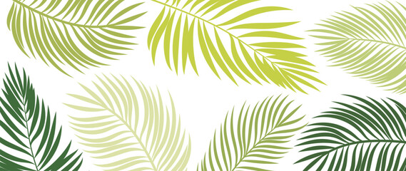 Fototapeta na wymiar Green leaves background vector. Tropical palm leaf wallpaper design for black drop, fabric, prints ads. vector illustration. 