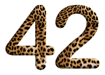 The shape of the number 42 is made of leopard fur or skin isolated on transparent background. Suitable for birthday, anniversary and Memorial Day templates
