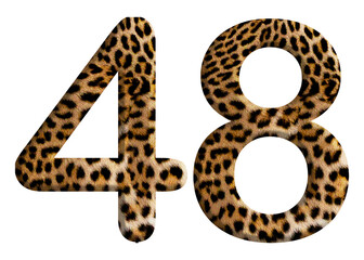 The shape of the number 48 is made of leopard fur or skin isolated on transparent background. Suitable for birthday, anniversary and Memorial Day templates