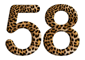 The shape of the number 58 is made of leopard fur or skin isolated on transparent background. Suitable for birthday, anniversary and Memorial Day templates