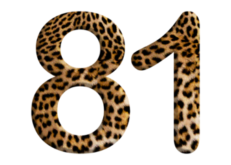 The shape of the number 81 is made of leopard fur or skin isolated on transparent background. Suitable for birthday, anniversary and Memorial Day templates
