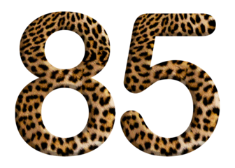 The shape of the number 85 is made of leopard fur or skin isolated on transparent background. Suitable for birthday, anniversary and Memorial Day templates