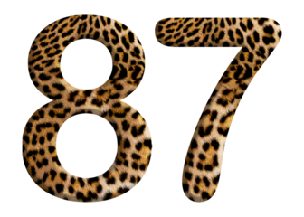 The shape of the number 87 is made of leopard fur or skin isolated on transparent background. Suitable for birthday, anniversary and Memorial Day templates