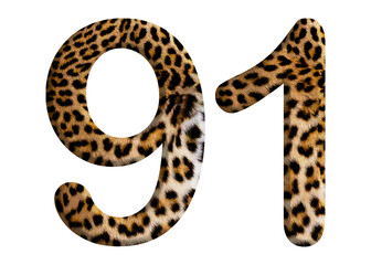 The shape of the number 91 is made of leopard fur or skin isolated on transparent background. Suitable for birthday, anniversary and Memorial Day templates