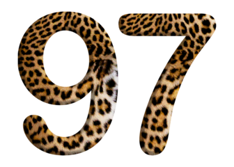 The shape of the number 97 is made of leopard fur or skin isolated on transparent background. Suitable for birthday, anniversary and Memorial Day templates