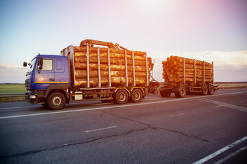 A blue logging truck transports round pine logs against the backdrop of sunset in the evening. Wood...