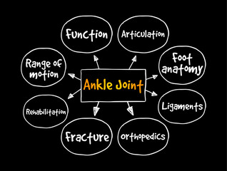Ankle Joint is a synovial joint located in the lower limb, mind map text concept background
