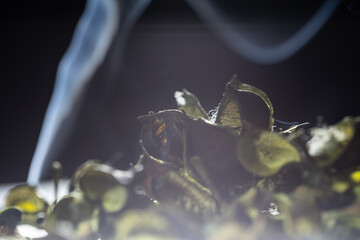 Close-up of lush green foliage set against a stark black background, with wisps of smoke swirling...