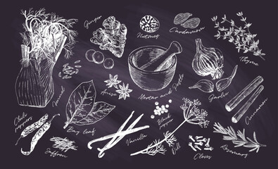 Hand drawn collection of popular herbs and spices. Culinary poster for cookbook and kitchen decor. Black chalk board drawings. Vintage etching style

