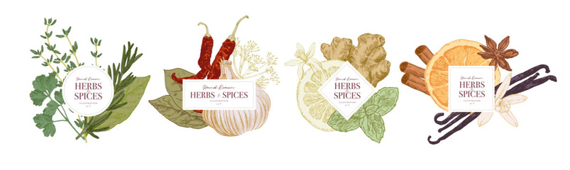 Herbs and spices arranged in groups. Hand drawn illustrations, frame  templates