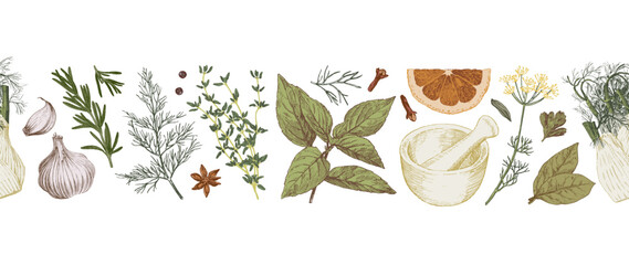 Hand drawn herbs and spices arranged in seamless decorative line. Culinary illustration - 741329721