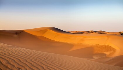Fototapeta na wymiar Empty Quarter Desert Dunes. A sea of sand
