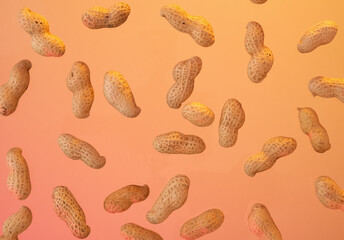 A large number of nuts, proper nutrition and health. Organic food.