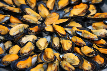 A display of fresh mussels for sale at a fish market - 741330948