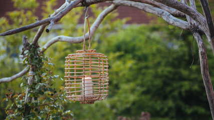 lantern in the garden