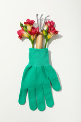 Gardening tool and flowers in glove on white background, top view
